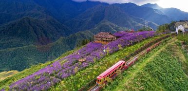 Sapa MuongHoaValley 4 02fcd49d
