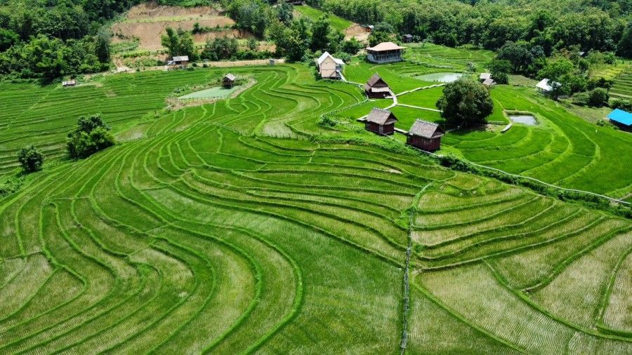 Luang Prabang Kao Niaw Farm 0367d8c2