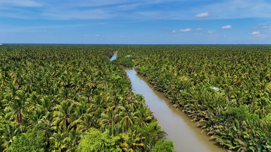 Mekong Delta Ben Tre Coconut Village 1 04cf2742