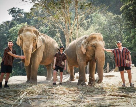 chiang mai elephant jungle sanctuary nguoi 1 0671c6fc