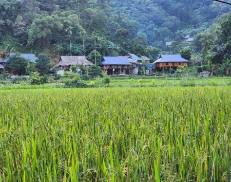 Pu Luong Kho Muong Village 3 076e2d8f