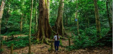 Ninh Binh Cuc Phuong National Park 7 09361069