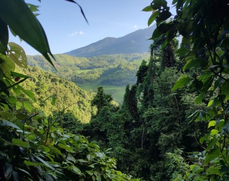 Mai Chau Pu Luong Nature Reserve 6 0c00d0bf