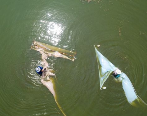 Mekong Delta Floating Fish Farms in An Giang 4 0f88cf77