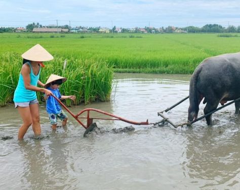vietnam family holiday 4 0fdee7b1