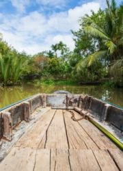 VNIN Mekong Delta 13 e1753851622481 102d9138