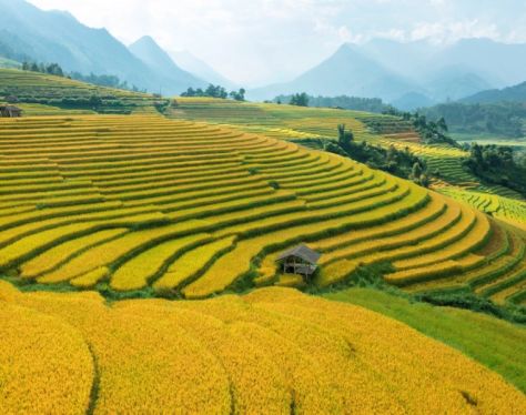 Sapa_TerracedField_ (5)