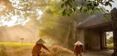 duong lam 1 e1750050105738 1cb3ae76