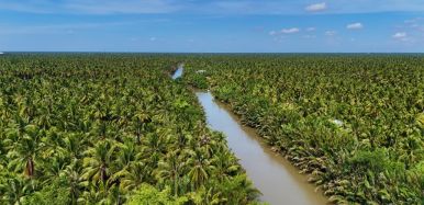 Mekong Delta Ben Tre Coconut Village 1 200a8b28