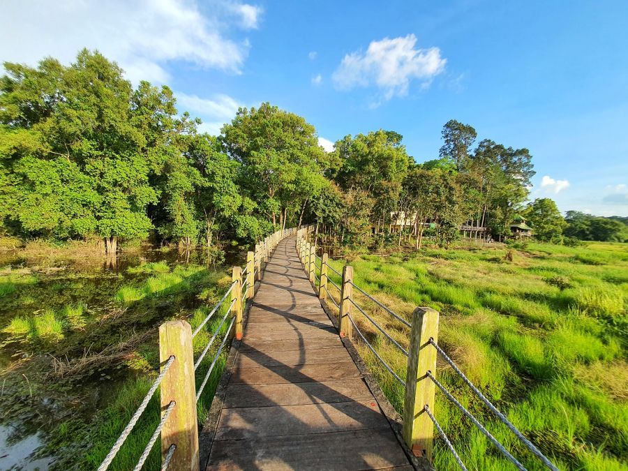 Seni National Parks in Vietnam 203f9123