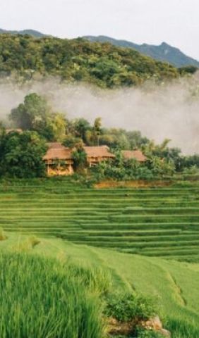 Mai Chau Pu Luong Nature Reserve 5 e1753844338490 2173b68e