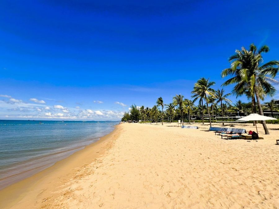Bai Truong Beach 23601288