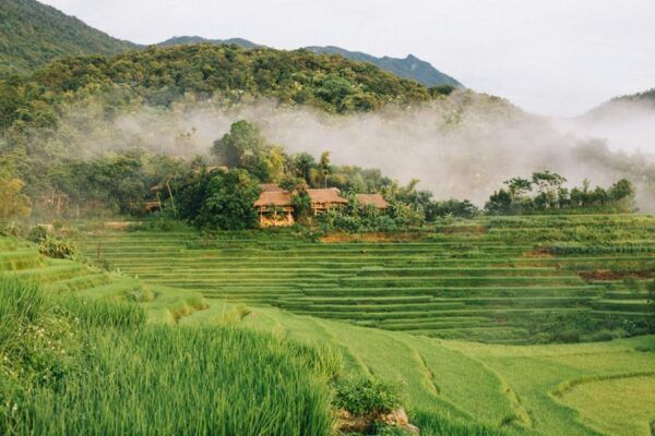 Mai Chau Pu Luong Nature Reserve 5 e1753844338490 25ea6390