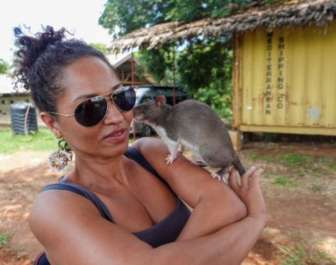 Siem Reap APOPO HeroRATs5 25bbc3c1