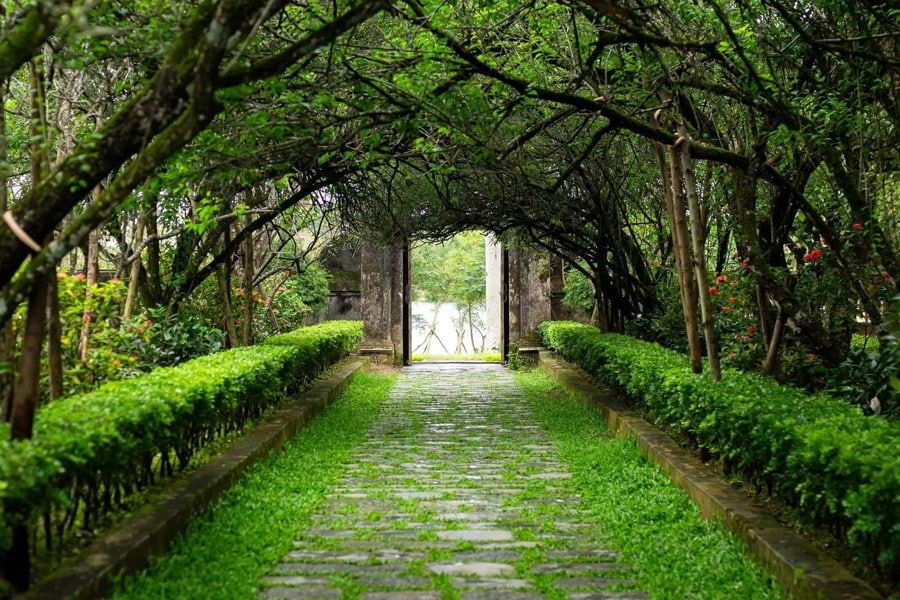 Garden and Architectural Harmony of An Hien Ancient House 26af7daf