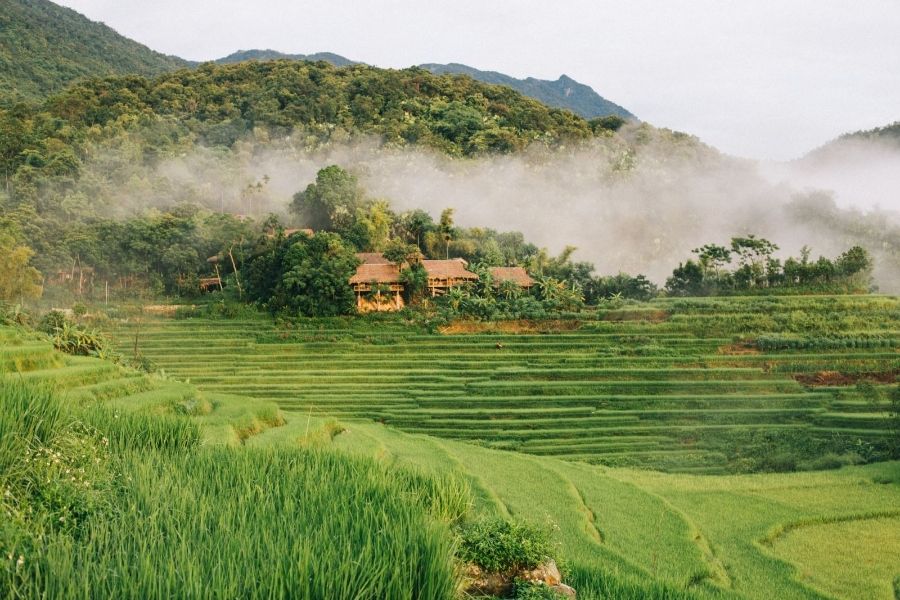 Mai Chau Pu Luong Nature Reserve 5 28ccff71