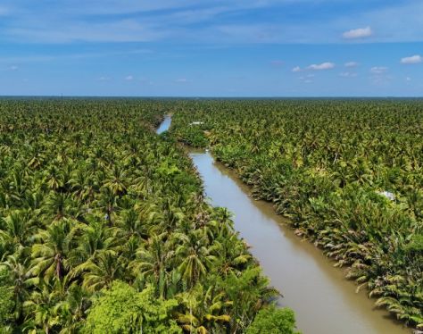 Mekong Delta Ben Tre Coconut Village 1 284c13d3