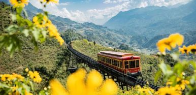Sapa MuongHoaValley 7 28406415