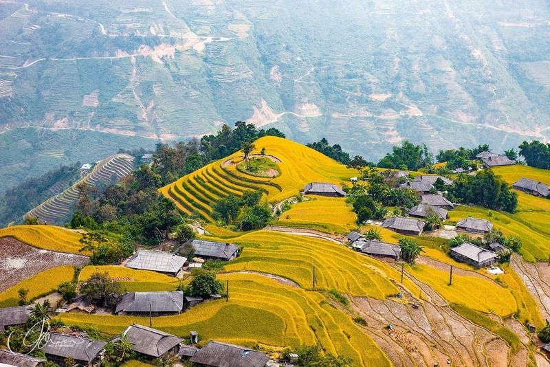 Hoang Su Phi 10 2b81b71d