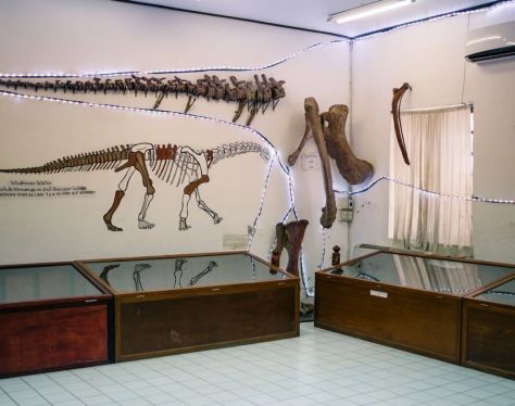 Savannakhet Dinosaur Museum 2c6c55a6