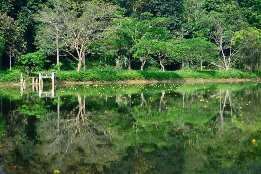 Ninh Binh Cuc Phuong National Park 2 2d0463a8