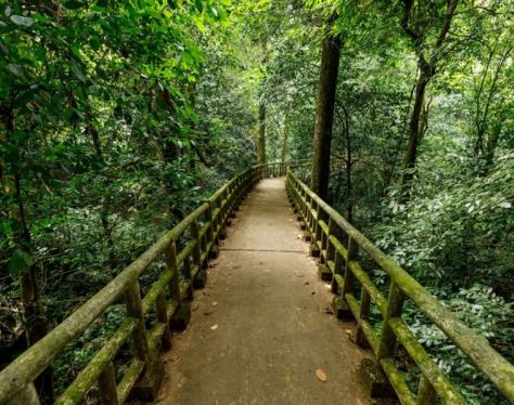 Ninh Binh Cuc Phuong National Park 3 3649e64a