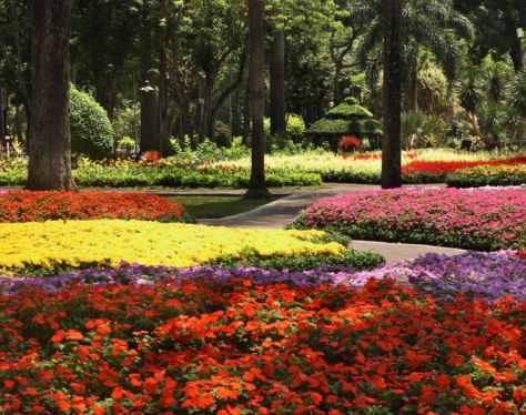 HCM TaoDanPark 4 3a4d27a7