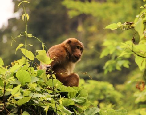 Ninh Binh Cuc Phuong National Park 10 3a23b1f8