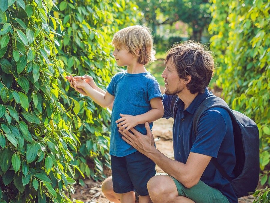 Phu Quoc in November