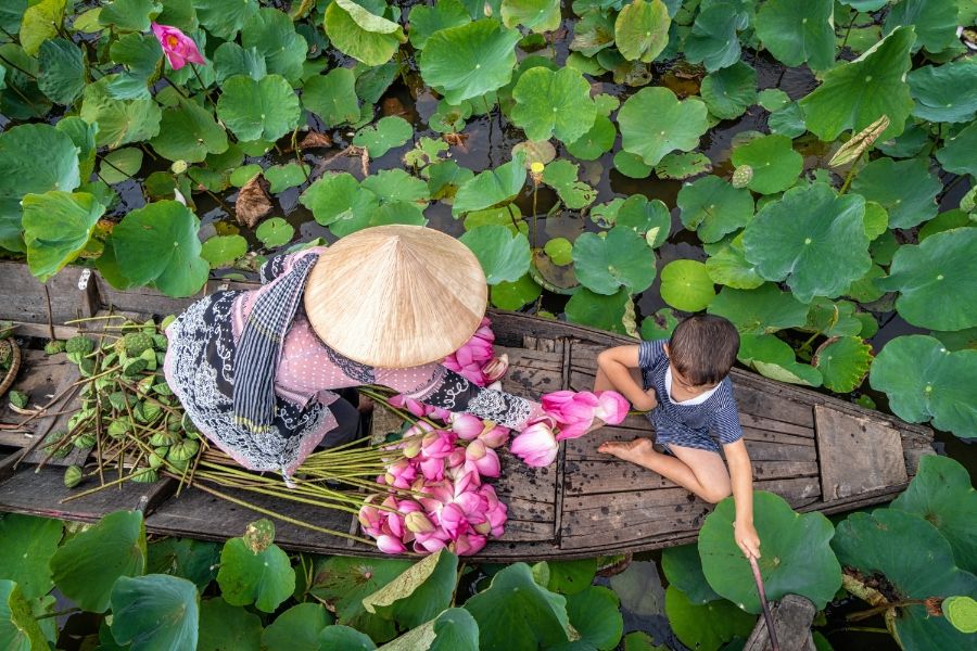 Mekong Delta Dong Thap Muoi Wetland 1 3e1ea243