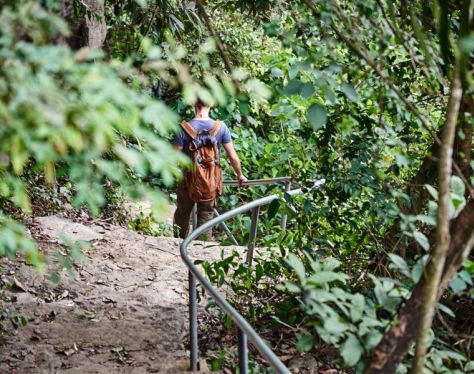 Ninh Binh Thung Nham Bird Park 15 4108526b