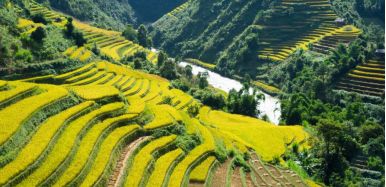 Sapa TerracedField 3 4b5a05c3