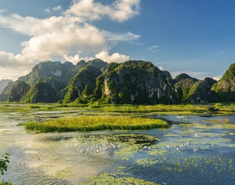 Ninh Binh Van Long Nature Reserve 7 4c3458bb