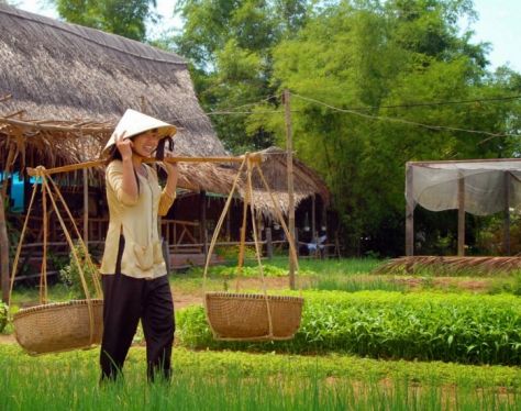 Hoi An Tra Que Vegetable Village 3 4d25d592