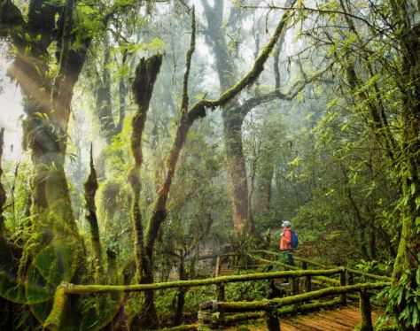chiang mai doi inthanon national park canh 1 4d3ec35c