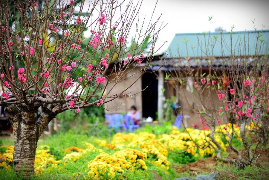 best time to visit cao bang