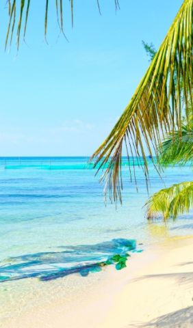 PhuQuoc Beach 12 56008974
