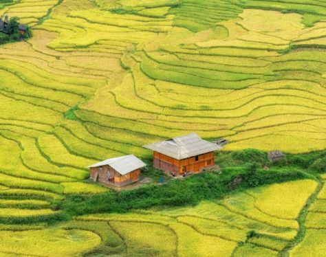 Sapa TerracedField 4 572f0f43
