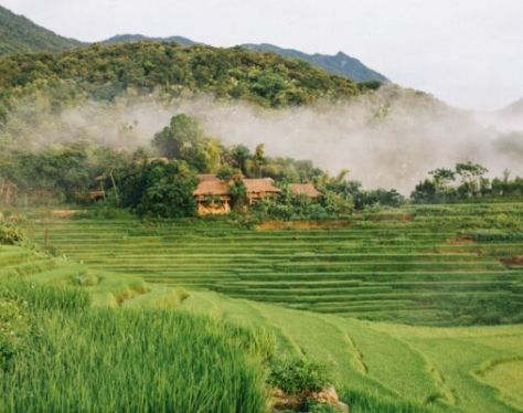 Mai Chau Pu Luong Nature Reserve 5 e1753844338490 586eb5e3