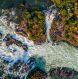 Khone Phapheng Waterfall from the high view 5bbd2d8e
