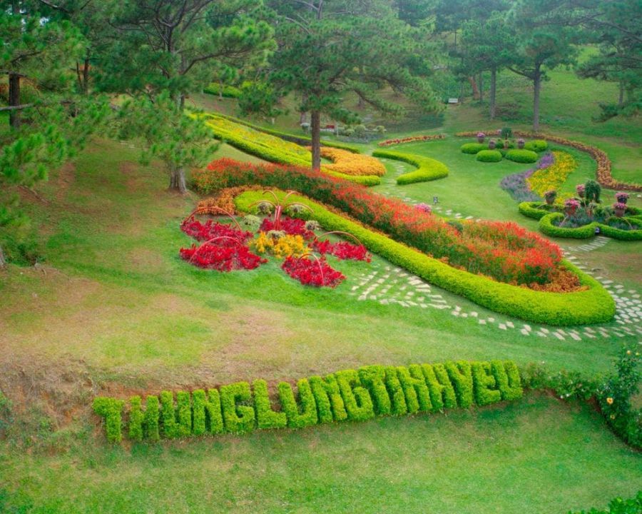 Valley Of Love Da Lat