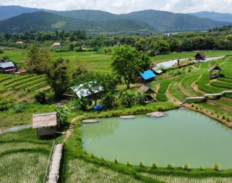 Luang Prabang Kao Niaw Farm 1 5e4b44d6
