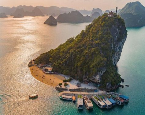 dao titop quang ninh 5e59f2a3