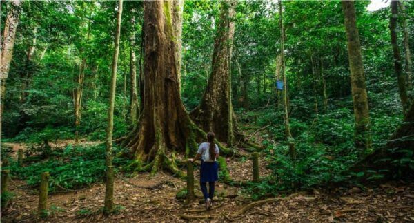 Ninh Binh Cuc Phuong National Park 7 e1753844519450 6098c906