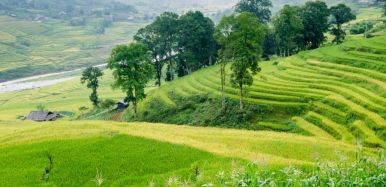 Sapa MuongHoaValley 3 66a5b269