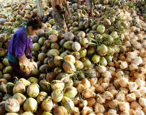 Mekong Delta Ben Tre Coconut Village 5 68724d9d