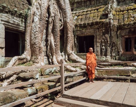 Siem Reap Ta Prohm 2 6988499e