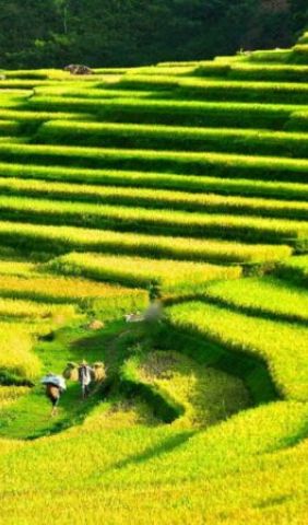 Pu Luong Kho Muong Village 1 e1753847082334 6ab41f8e