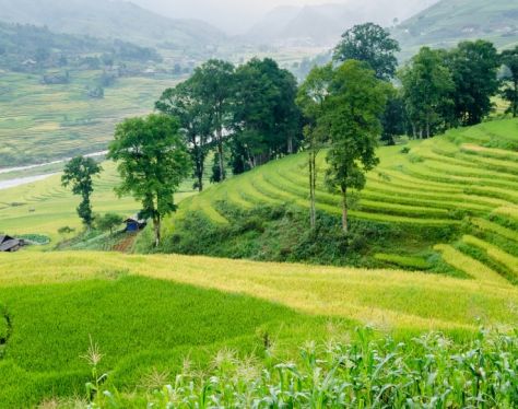 Sapa MuongHoaValley 3 6ee32a92
