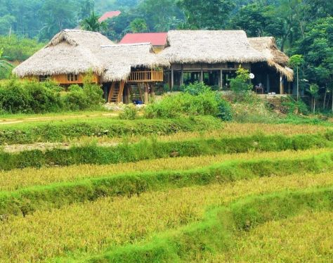 Pu Luong Kho Muong Village 6 6f6b4564